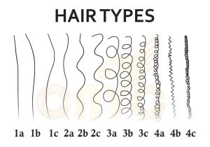 Hair type chart